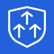 Collective-security-icon