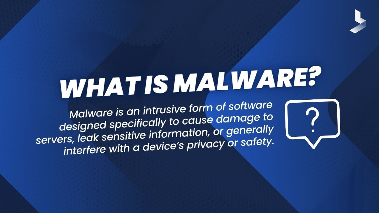 What is Malware